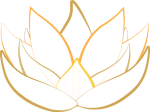 lotus, transparent, blossom-1889735.jpg